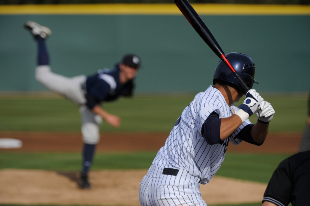 Start a Baseball Facility